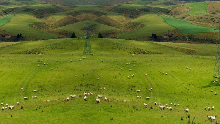 Image of field and pylons